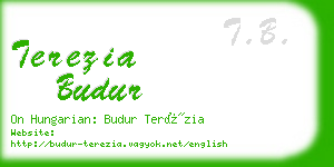 terezia budur business card